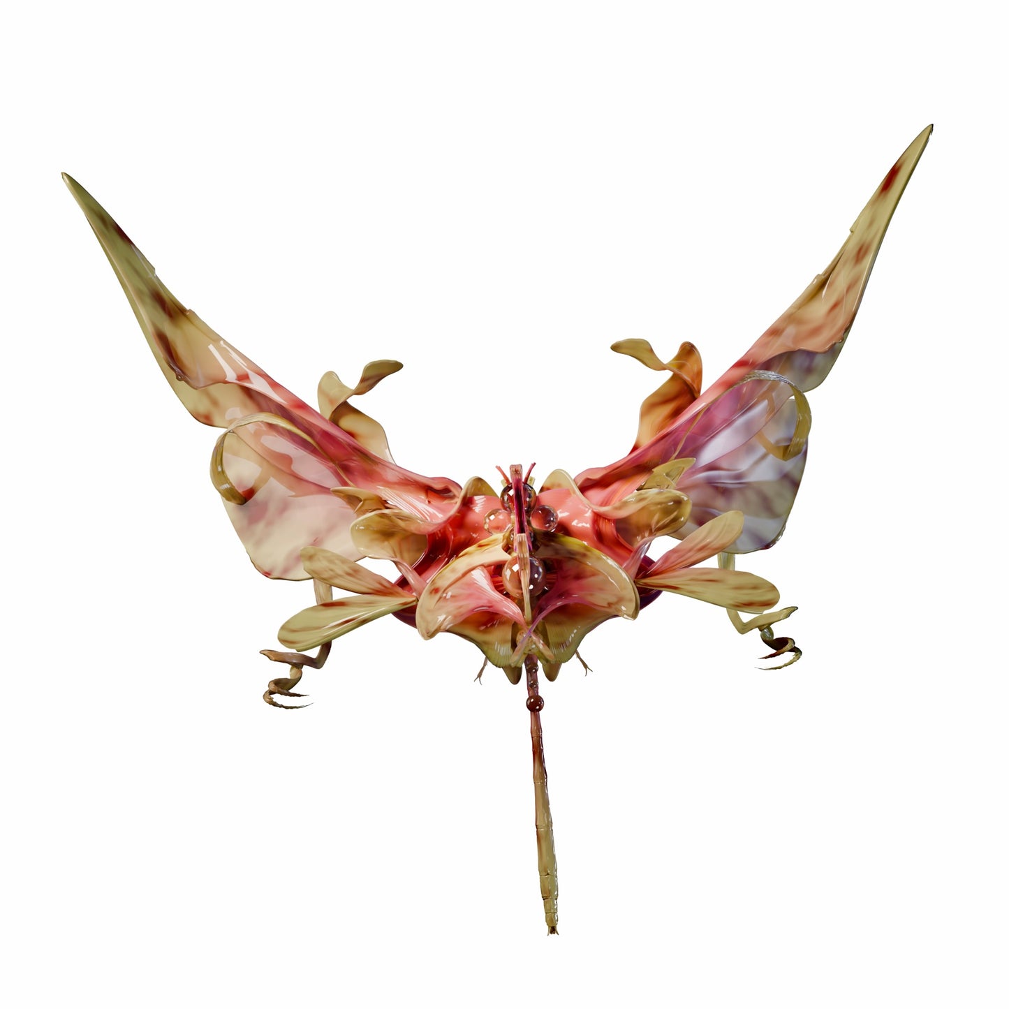 Colección de insectos- Gafas