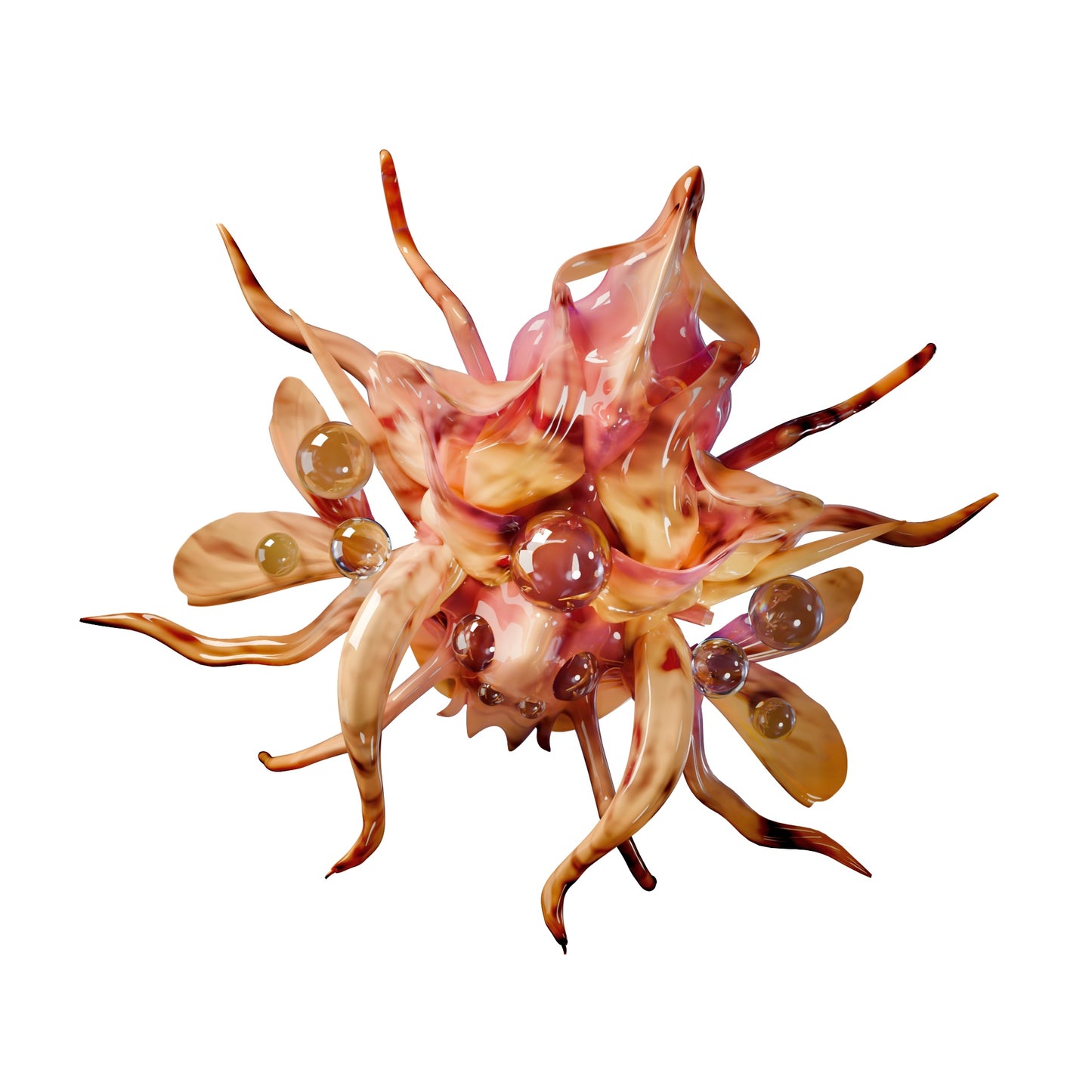 Insect Collection- Nose Jewellery