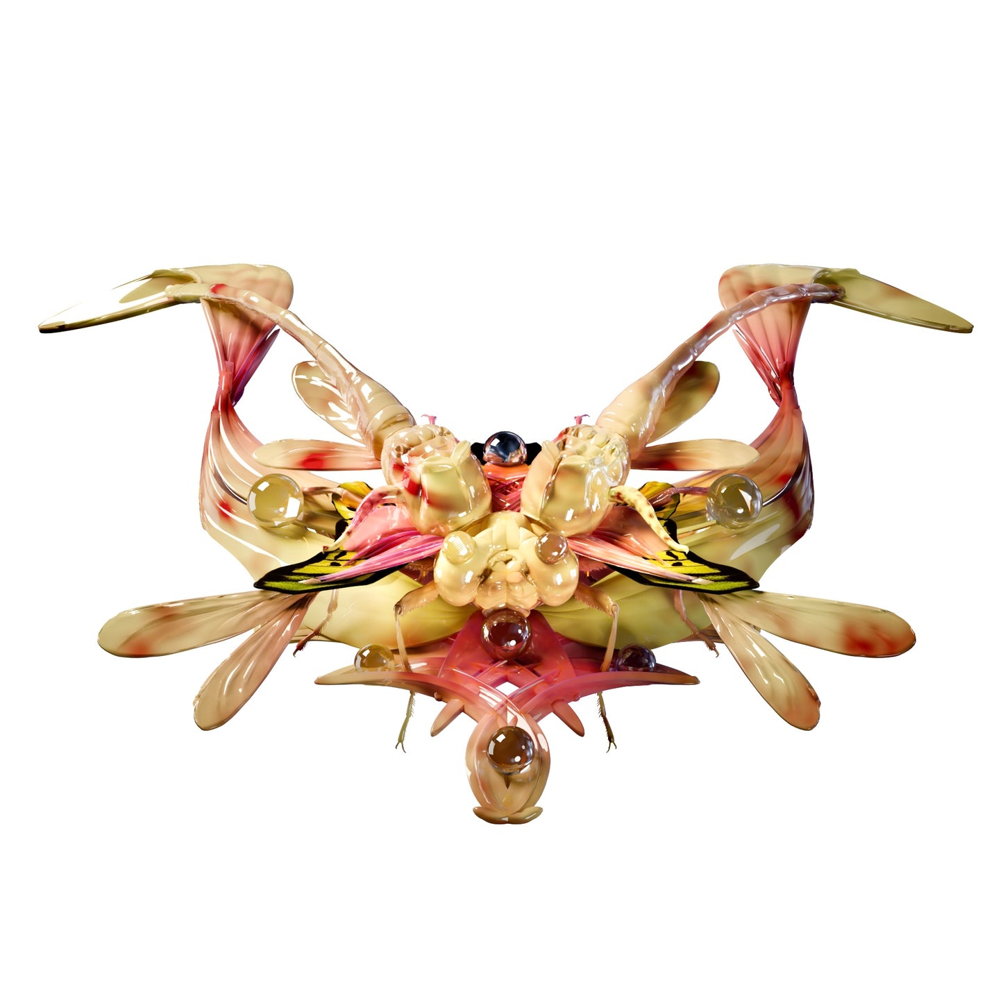 Colección de insectos- Collar