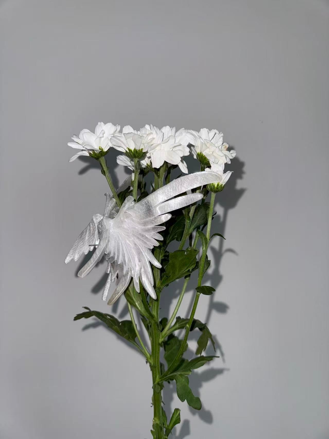 Feather Hair Clip - Wings