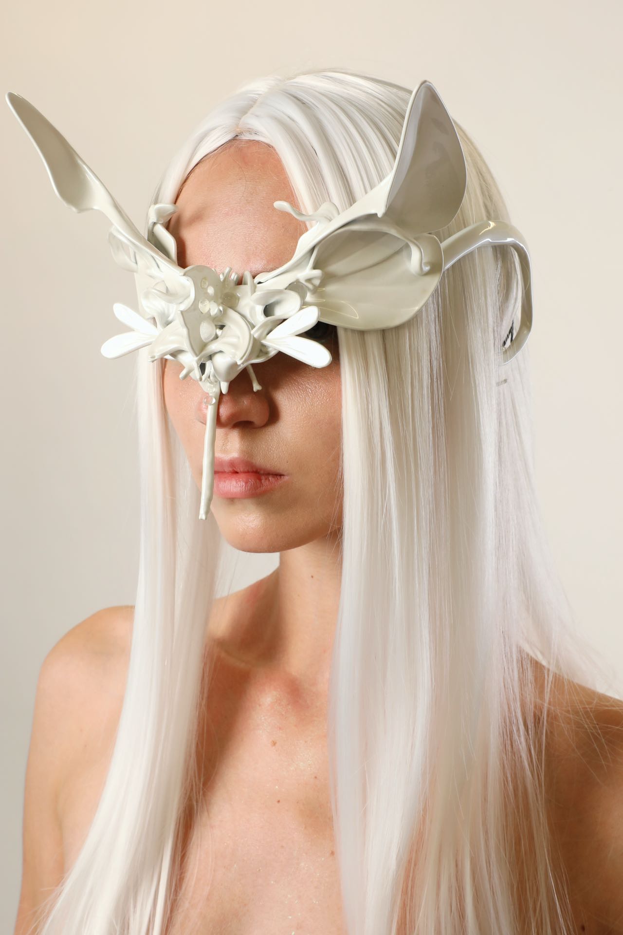 Insect Glasses